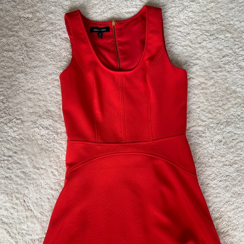 Size 8 Alex and Alex (Steven Alan) Red Dress
